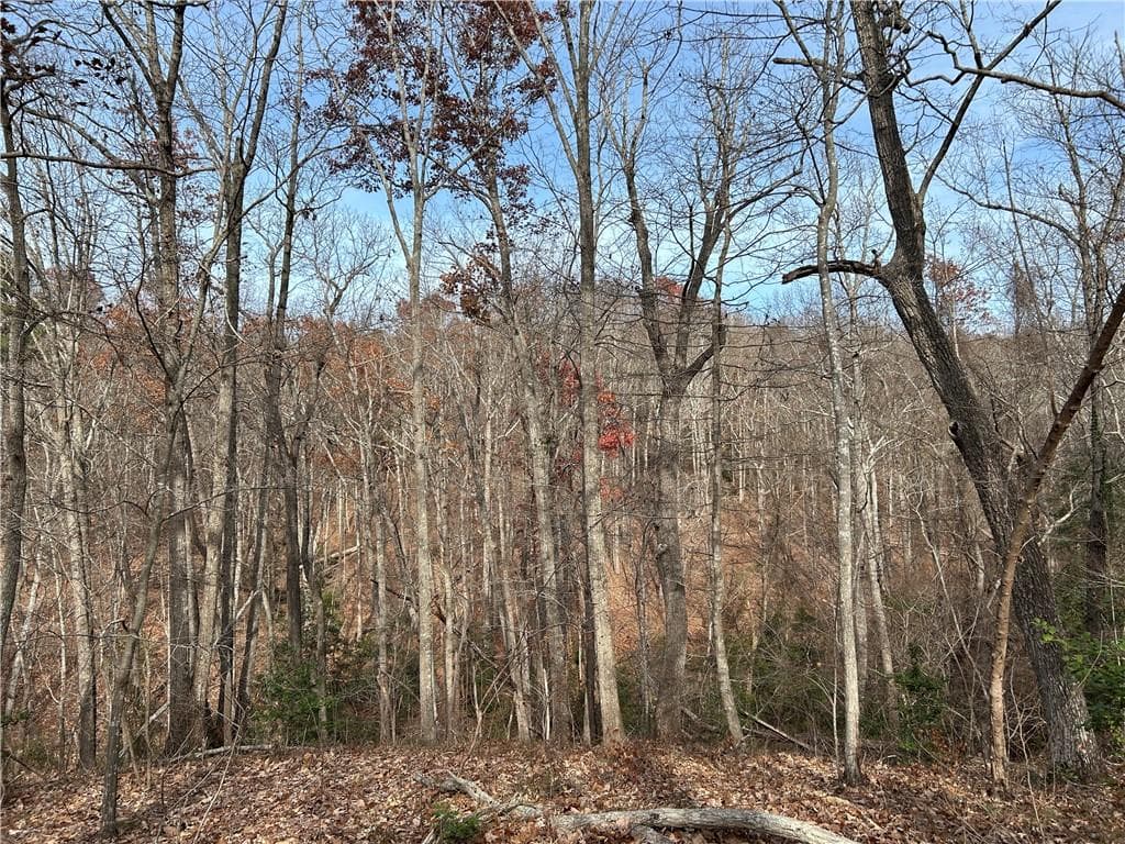 unimproved land for sale at 0 Hwy 105, Baldwin, GA 30511 — photo 1 of 37