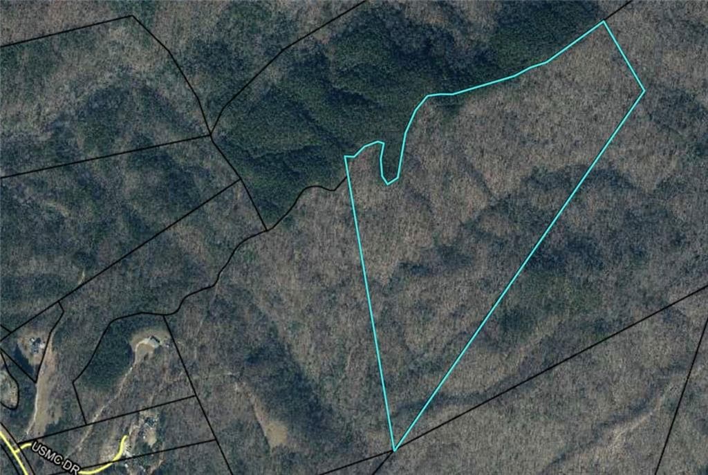 unimproved land for sale at 0 Hwy 105, Baldwin, GA 30511 — photo 3