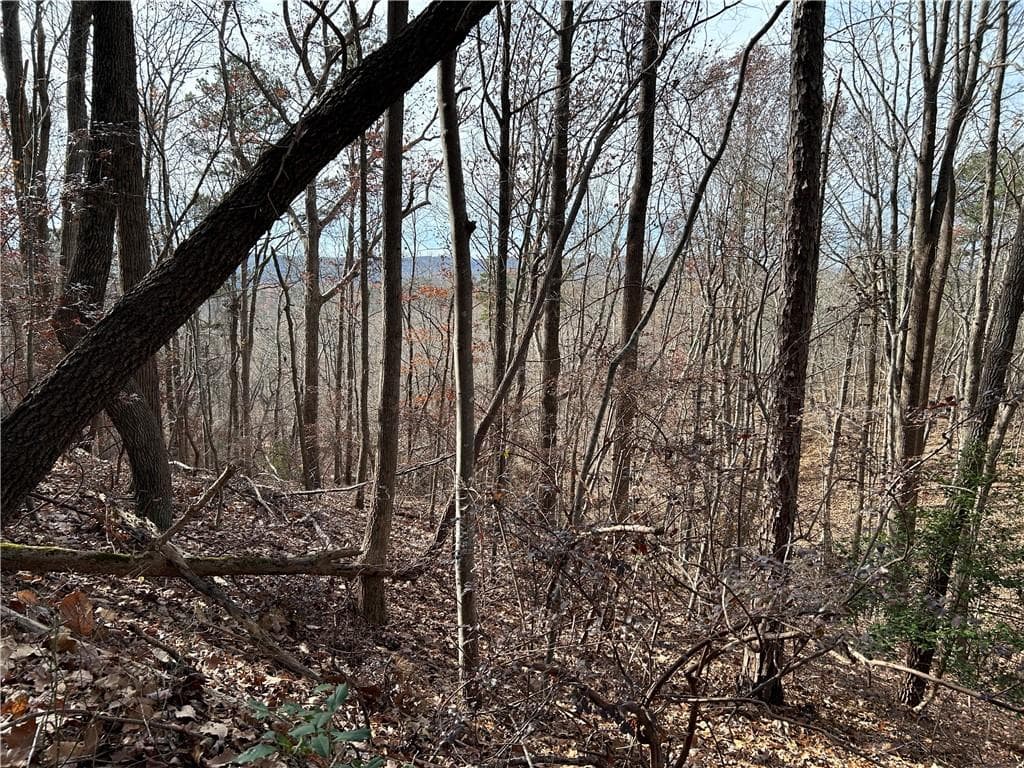 unimproved land for sale at 0 Hwy 105, Baldwin, GA 30511 — photo 4