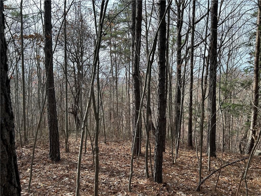 unimproved land for sale at 0 Hwy 105, Baldwin, GA 30511 — photo 5