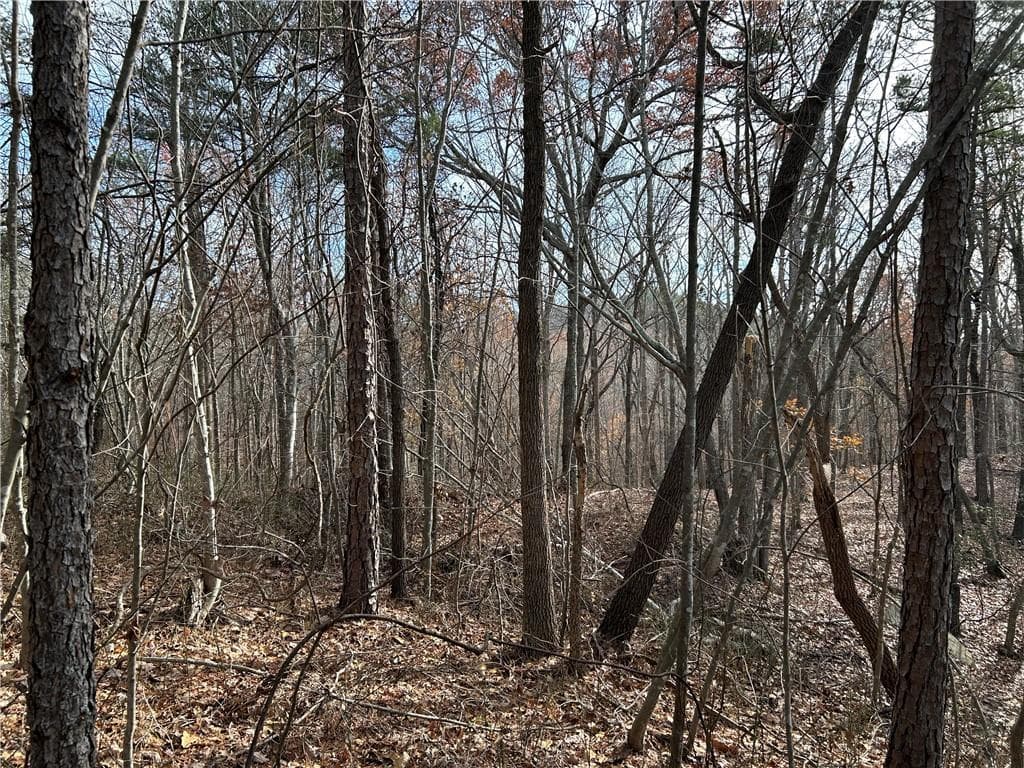 unimproved land for sale at 0 Hwy 105, Baldwin, GA 30511 — photo 6
