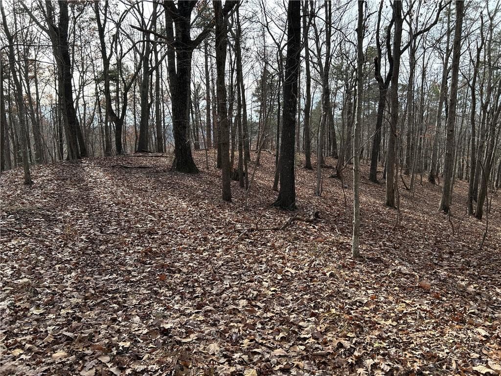unimproved land for sale at 0 Hwy 105, Baldwin, GA 30511 — photo 7