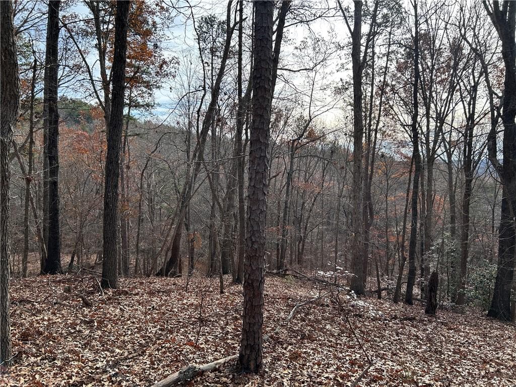 unimproved land for sale at 0 Hwy 105, Baldwin, GA 30511 — photo 8