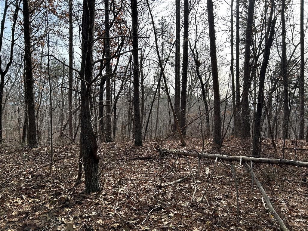 unimproved land for sale at 0 Hwy 105, Baldwin, GA 30511 — photo 9