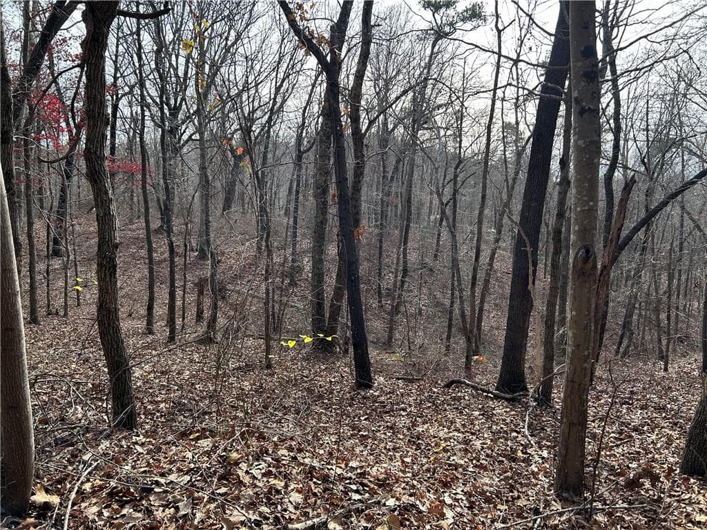 unimproved land for sale at 0 Hwy 105, Baldwin, GA 30511 — photo 10