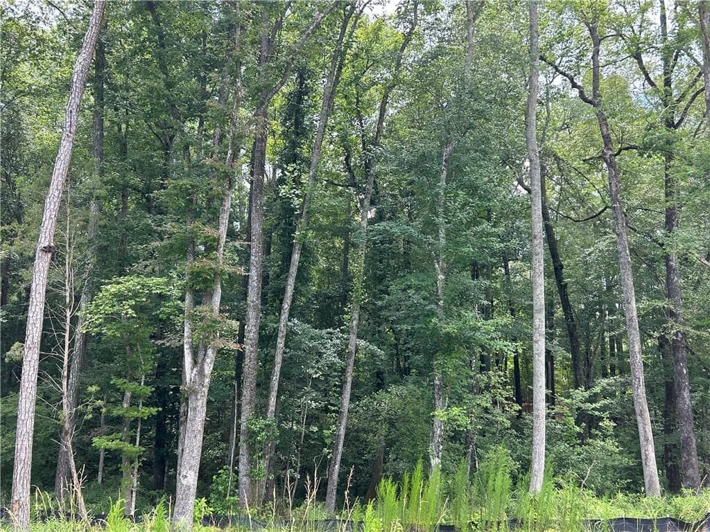 unimproved land for sale at 0 Hamilton Road, Chattahoochee Hills, GA 30268 — photo 2
