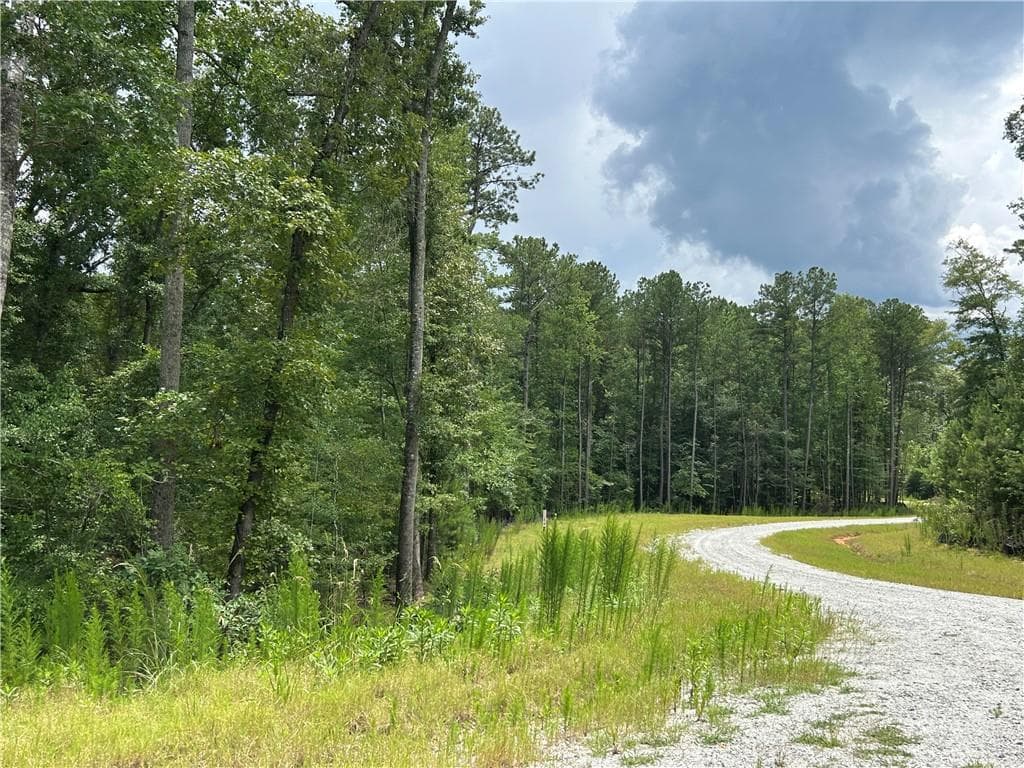 unimproved land for sale at 0 Hamilton Road, Chattahoochee Hills, GA 30268 — photo 3