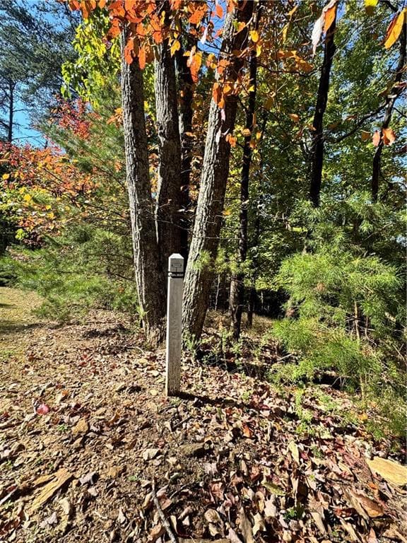single family residence for sale at 0 Vista View Parkway, Jasper, GA 30143 — photo 10