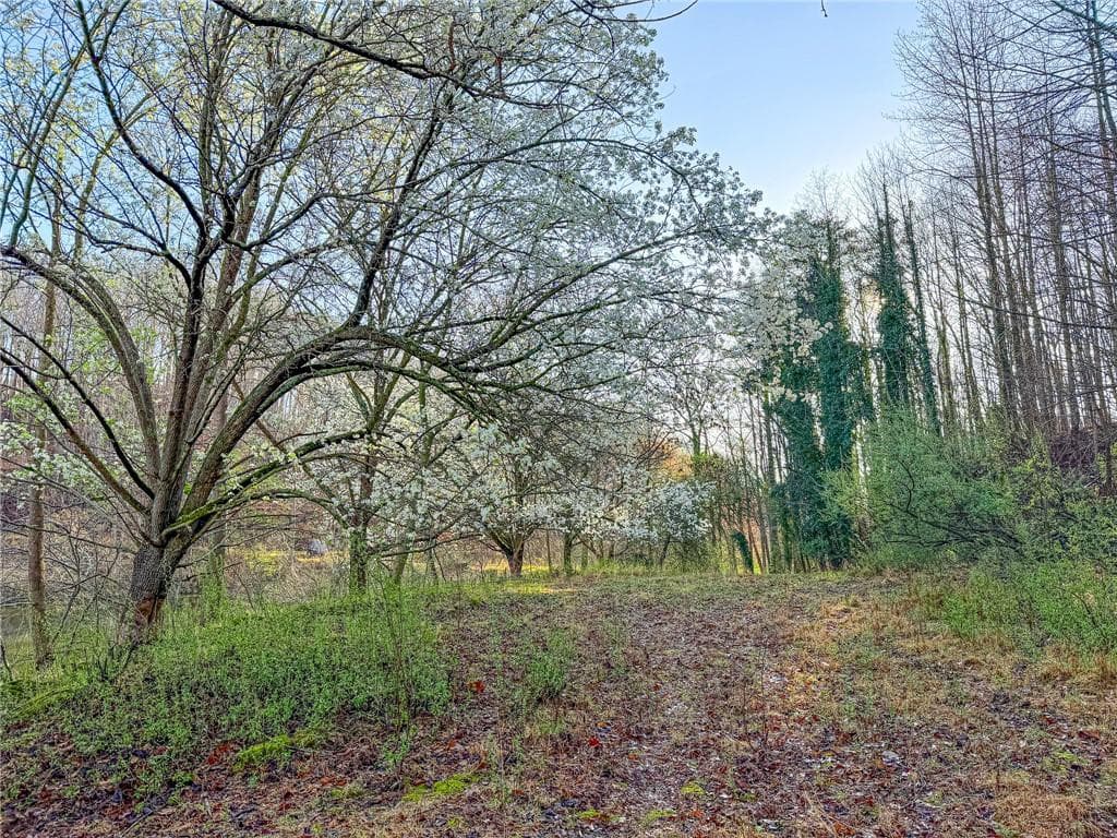 3 bedroom, 2 bathroom, 1,902 sq ft single family residence for sale at 1565 Shoal Creek Road, Clermont, GA 30527 — photo 6