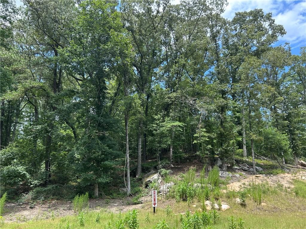 unimproved land for sale at 0 Hamilton Road, Chattahoochee Hills, GA 30268 — photo 1 of 4