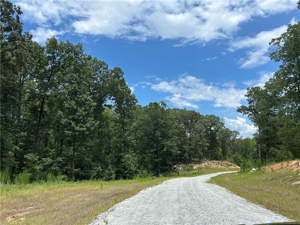 unimproved land for sale at 0 Hamilton Road, Chattahoochee Hills, GA 30268 — photo 2