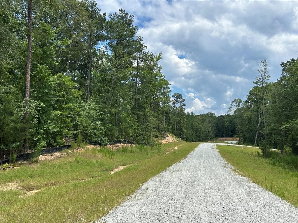 unimproved land for sale at 0 Hamilton Road, Chattahoochee Hills, GA 30268 — photo 3