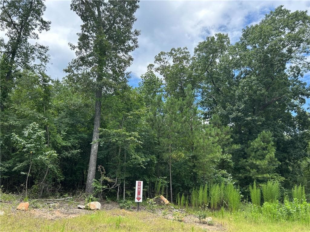 unimproved land for sale at 0 Hamilton Road, Chattahoochee Hills, GA 30268 — photo 2