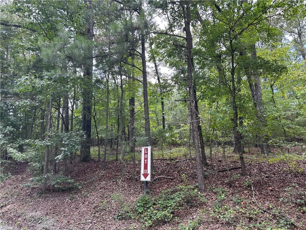 unimproved land for sale at 0 Hamilton Road, Chattahoochee Hills, GA 30268 — photo 2