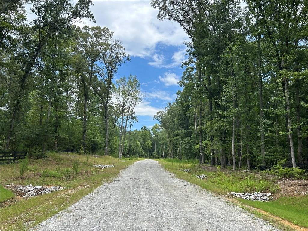 unimproved land for sale at 0 Hamilton Road, Chattahoochee Hills, GA 30268 — photo 5
