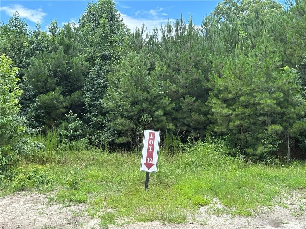 unimproved land for sale at 0 Hamilton Road, Chattahoochee Hills, GA 30268 — photo 1 of 4