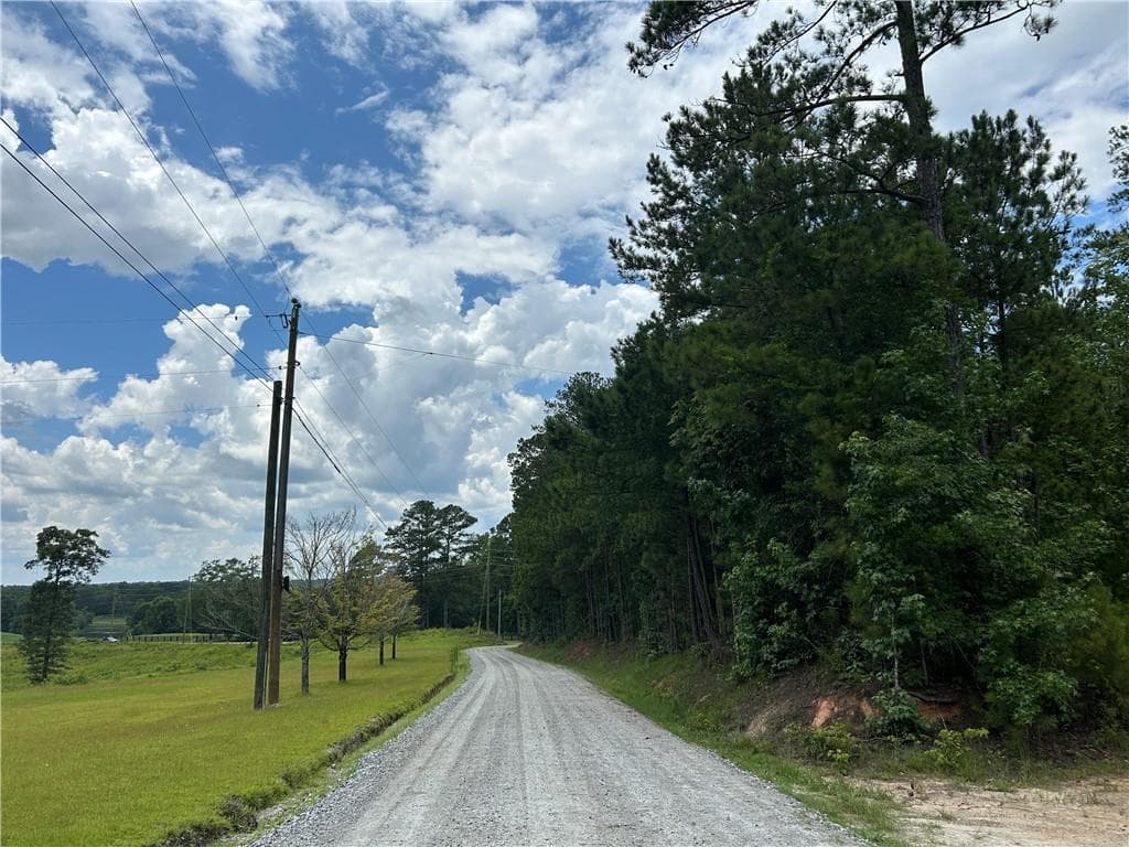 unimproved land for sale at 0 Hamilton Road, Chattahoochee Hills, GA 30268 — photo 2