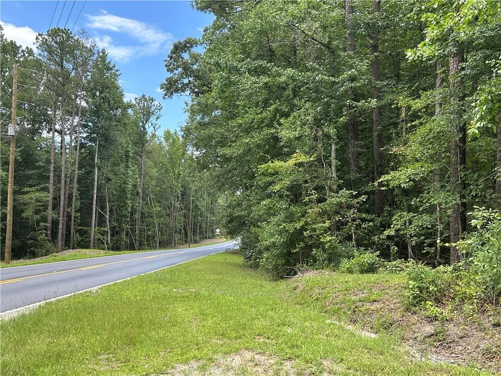 unimproved land for sale at 0 Hamilton Road, Chattahoochee Hills, GA 30268 — photo 3