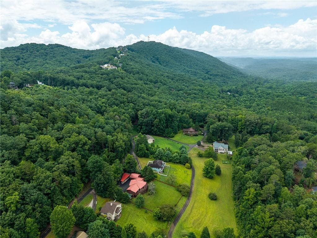 3 bedroom, 3 bathroom, 3,013 sq ft single family residence for sale at 131 Talona Lake Terrace, Ellijay, GA 30536 — photo 6