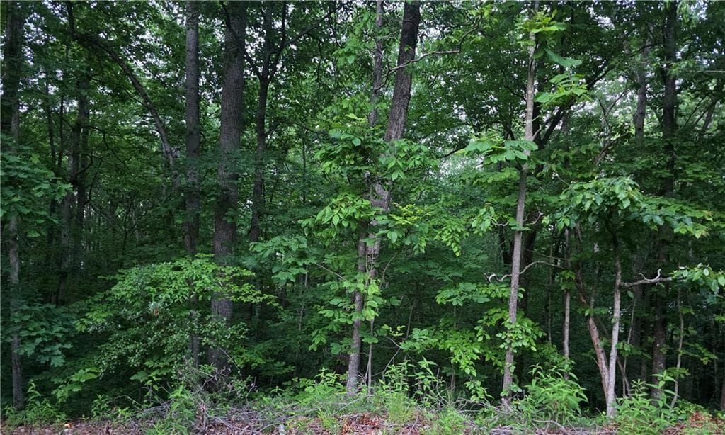 home for sale at 0 Old Mckaskey Creek Road, Cartersville, GA