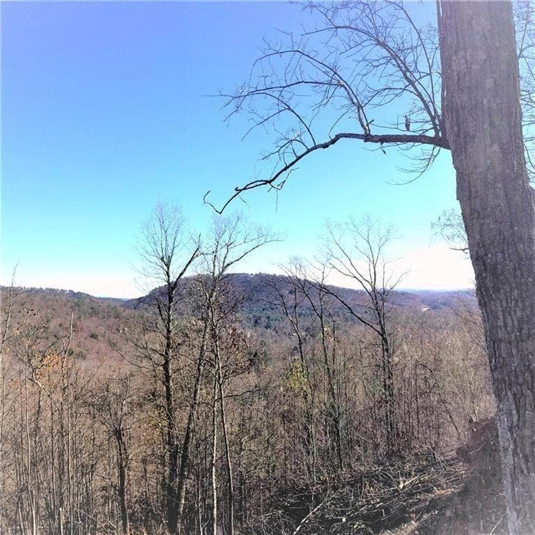 unimproved land for sale at 8104 Wilderness Parkway, Jasper, GA 30143 — photo 1 of 3
