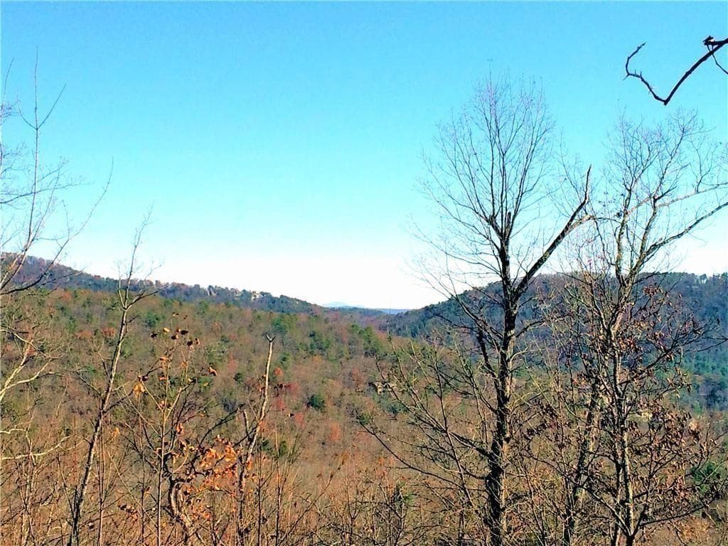 unimproved land for sale at 8104 Wilderness Parkway, Jasper, GA 30143 — photo 2