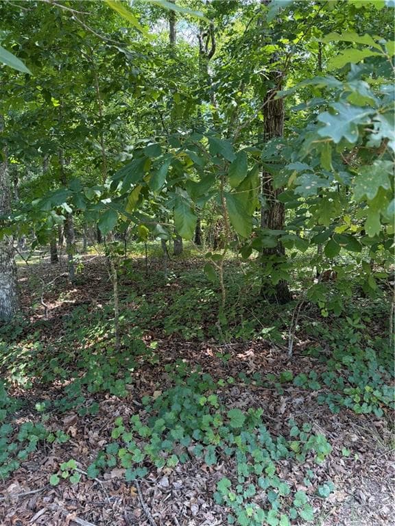 single family residence for sale at 3355 Lakeview Parkway, Villa Rica, GA 30180 — photo 2