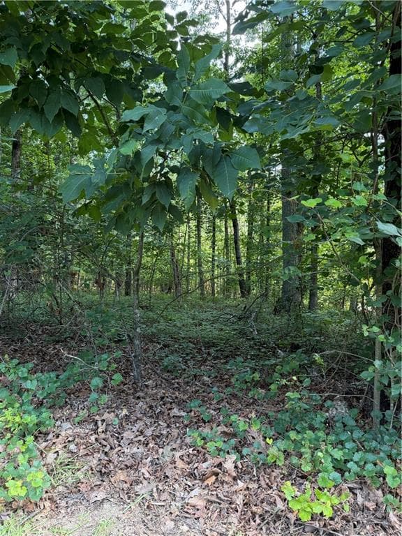 single family residence for sale at 3355 Lakeview Parkway, Villa Rica, GA 30180 — photo 3