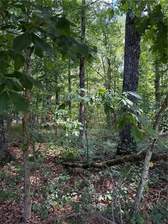 single family residence for sale at 3355 Lakeview Parkway, Villa Rica, GA 30180 — photo 4