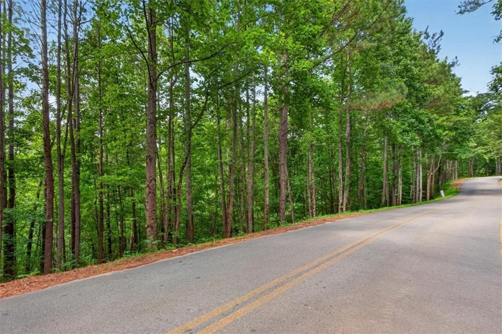 single family residence for sale at 0 Ginger Drive, Jasper, GA 30143 — photo 6