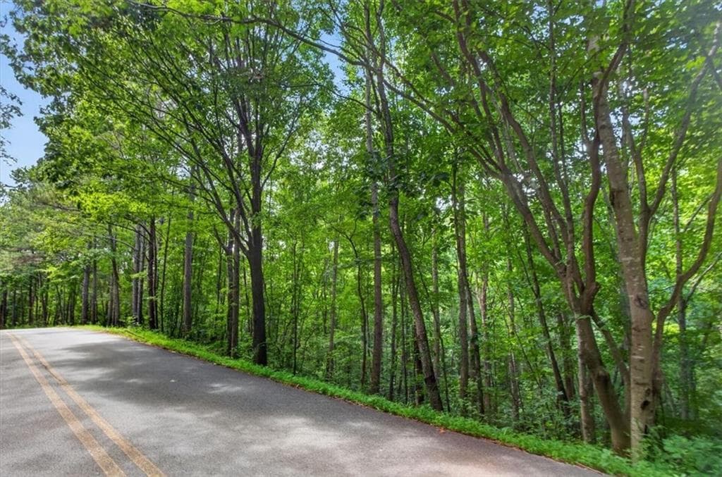 single family residence for sale at 0 Ginger Drive, Jasper, GA 30143 — photo 9