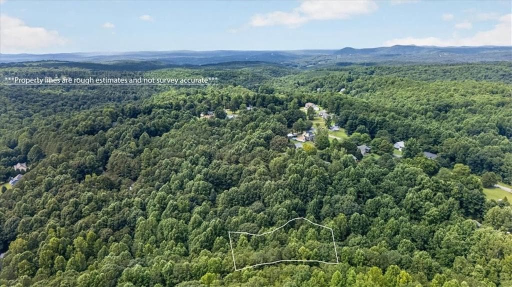 other for sale at 0 Ginger Drive, Jasper, GA 30143 — photo 3