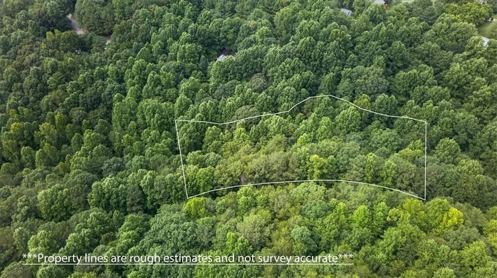 other for sale at 0 Ginger Drive, Jasper, GA 30143 — photo 4