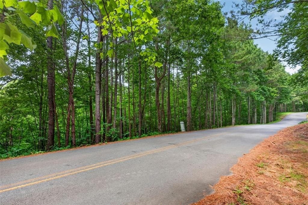 other for sale at 0 Ginger Drive, Jasper, GA 30143 — photo 5
