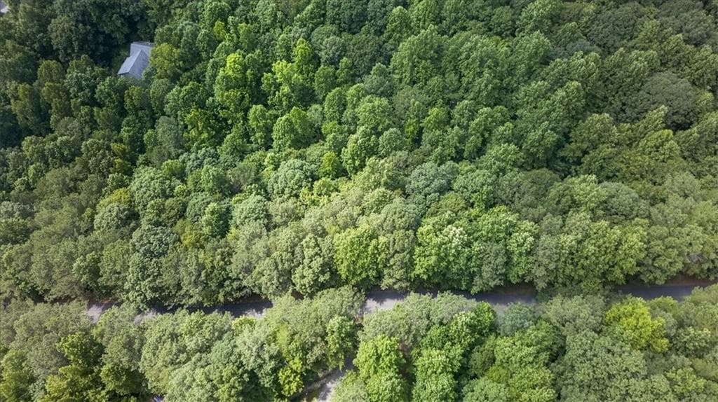 other for sale at 0 Ginger Drive, Jasper, GA 30143 — photo 7