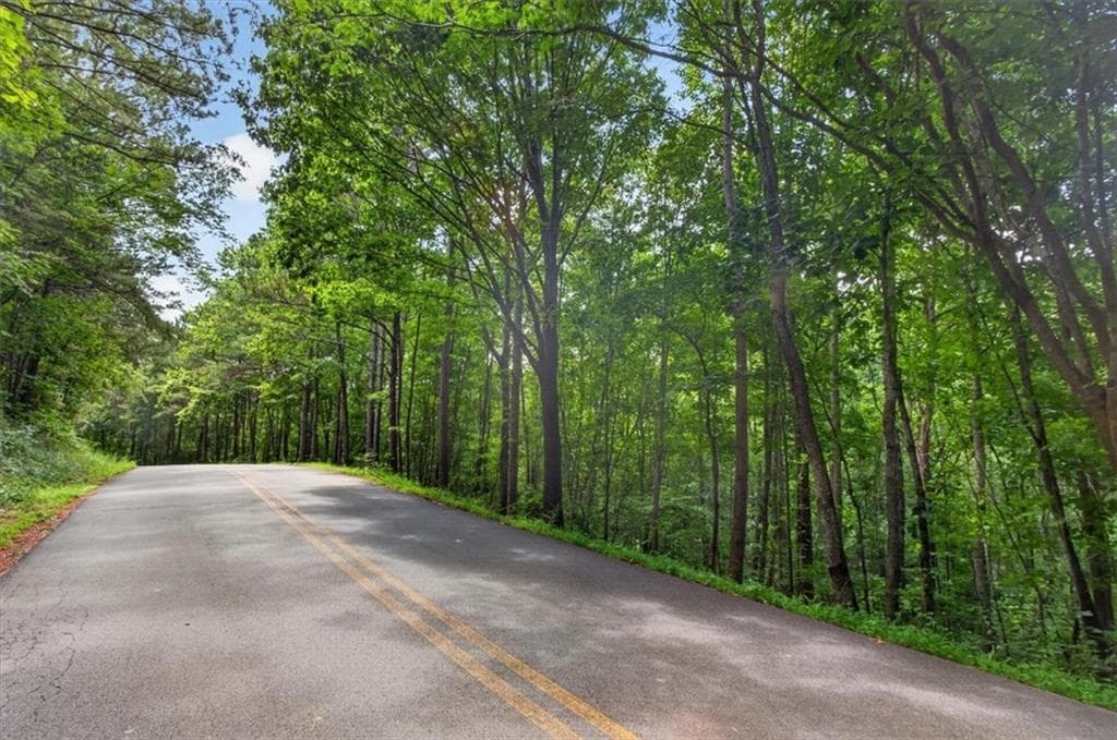 other for sale at 0 Ginger Drive, Jasper, GA 30143 — photo 8