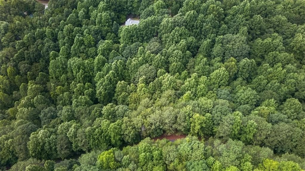 other for sale at 0 Ginger Drive, Jasper, GA 30143 — photo 10