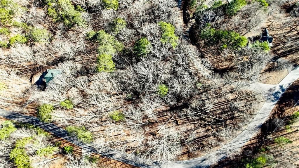 unimproved land for sale at 0 Newport Drive, Ellijay, GA 30540 — photo 1 of 19