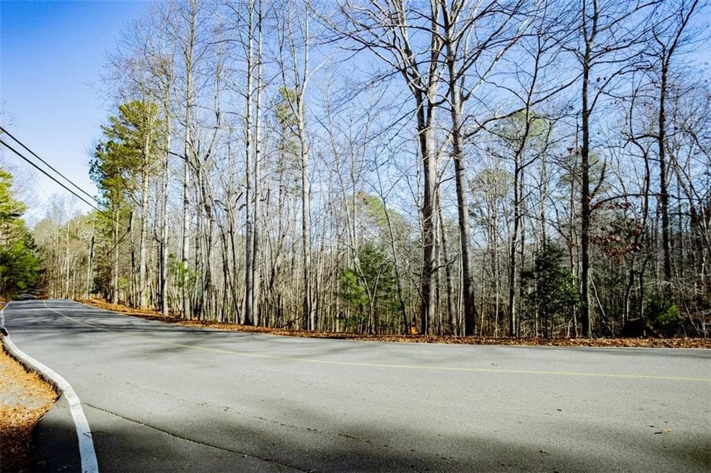 unimproved land for sale at 0 Newport Drive, Ellijay, GA 30540 — photo 2