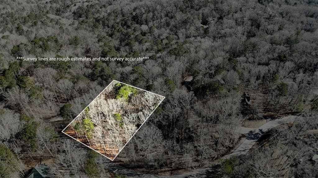 unimproved land for sale at 0 Newport Drive, Ellijay, GA 30540 — photo 3