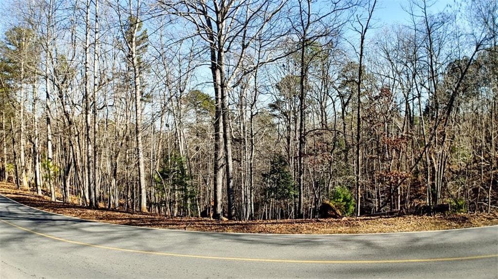 unimproved land for sale at 0 Newport Drive, Ellijay, GA 30540 — photo 4