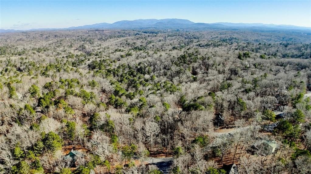 unimproved land for sale at 0 Newport Drive, Ellijay, GA 30540 — photo 5