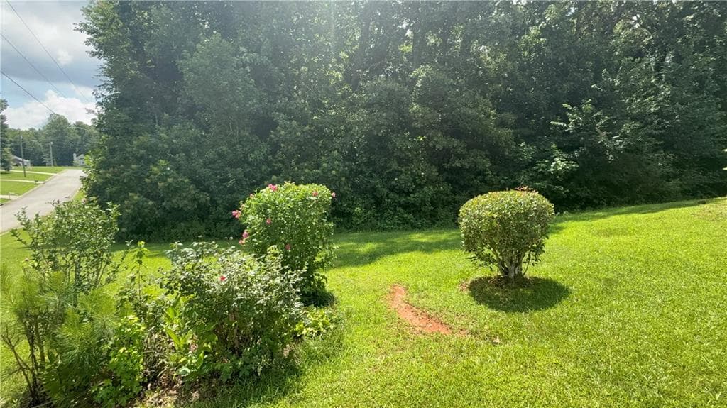 3 bedroom, 2 bathroom, 1,674 sq ft single family residence for sale at 229 Majesty Drive, Rockmart, GA 30153 — photo 6