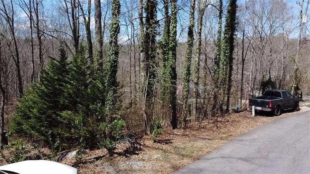unimproved land for sale at 0 Thunder Trail, Gainesville, GA 30506 — photo 5
