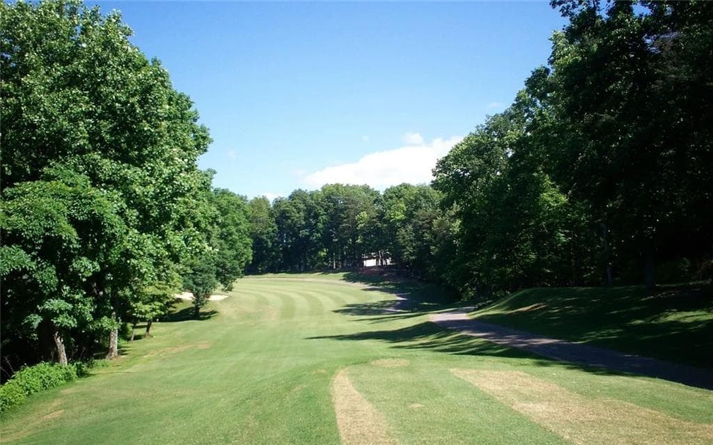 unimproved land for sale at 0 Mulligan Way, Jasper, GA 30143 — photo 3