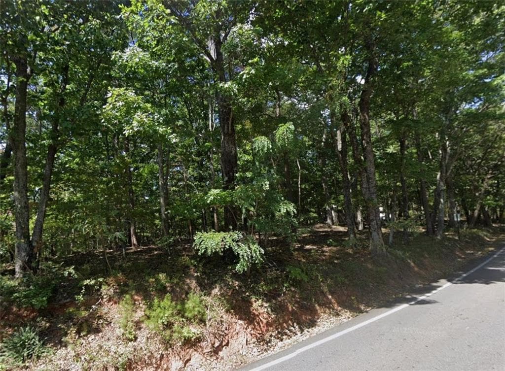 unimproved land for sale at 0 Mulligan Way, Jasper, GA 30143 — photo 5