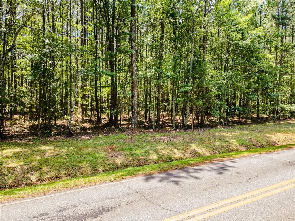 unimproved land for sale at 0 Browning Shoals Road, Social Circle, GA 30025 — photo 3