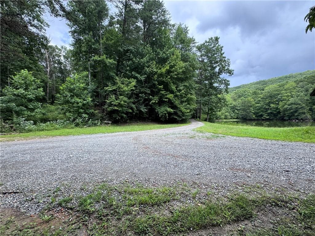 other for sale at 0 Owltown Road, Ellijay, GA 30536 — photo 3