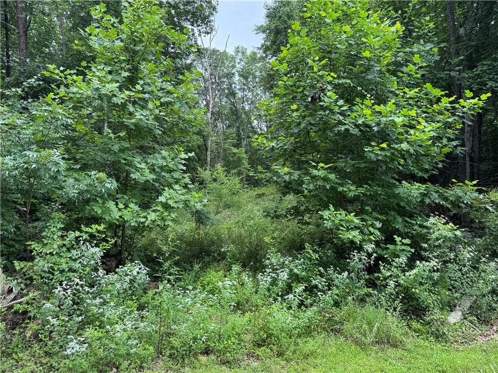 other for sale at 0 Owltown Road, Ellijay, GA 30536 — photo 4