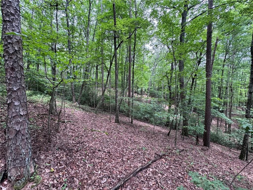 other for sale at 0 Owltown Road, Ellijay, GA 30536 — photo 5